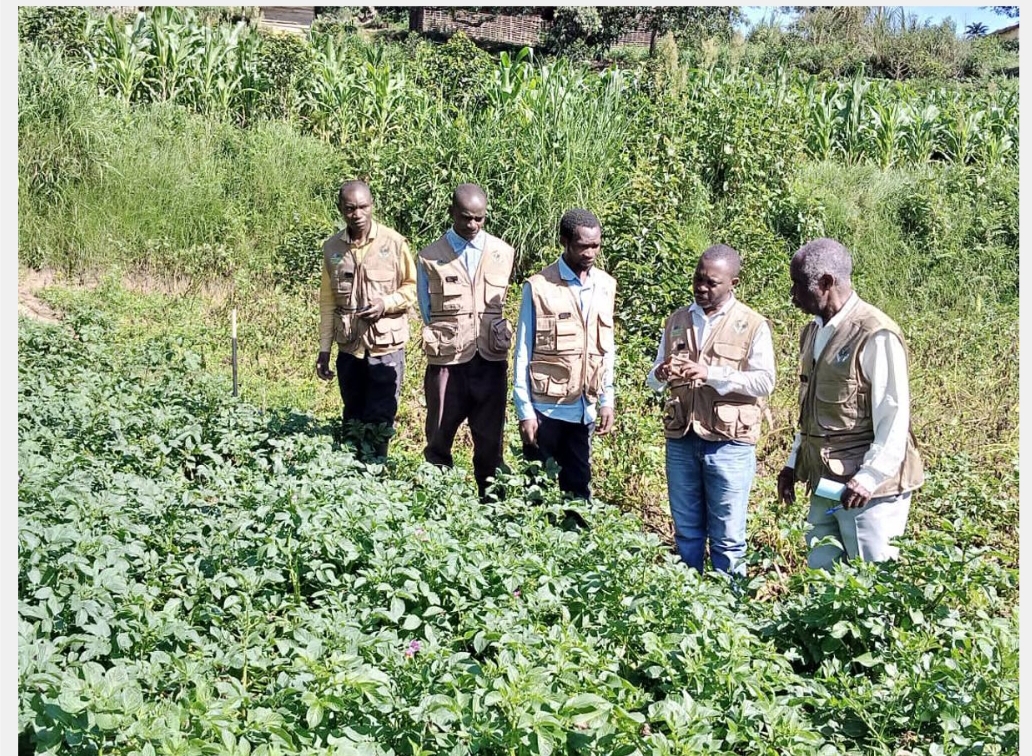 Vers l'installation du premier bureau de l’Ordre des ingénieurs agronomes au Maniema