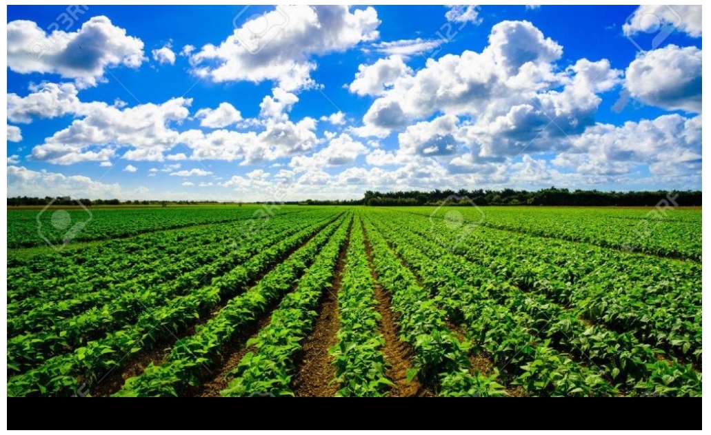 RDC: Les professionnels Agronomes appelés à s'inscrire à l'Ordre national des Ingénieurs.